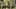 Game screenshot thumbnail 4