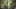 Game screenshot thumbnail 1