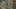 Game screenshot thumbnail 2