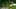 Game screenshot thumbnail 5