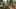 Game screenshot thumbnail 2
