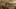 Game screenshot thumbnail 1
