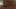 Game screenshot thumbnail 3