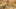 Game screenshot thumbnail 3