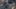 Game screenshot thumbnail 2