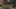Game screenshot thumbnail 3