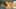 Game screenshot thumbnail 2