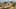 Game screenshot thumbnail 2