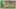 Game screenshot thumbnail 4