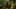 Game screenshot thumbnail 2