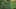 Game screenshot thumbnail 3