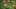 Game screenshot thumbnail 5