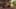 Game screenshot thumbnail 1