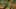 Game screenshot thumbnail 2