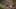 Game screenshot thumbnail 2