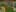 Game screenshot thumbnail 3