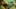 Game screenshot thumbnail 1
