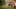 Game screenshot thumbnail 5