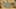 Game screenshot thumbnail 5