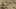 Game screenshot thumbnail 1