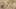 Game screenshot thumbnail 3