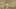 Game screenshot thumbnail 2