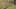 Game screenshot thumbnail 5