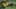 Game screenshot thumbnail 5