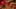 Game screenshot thumbnail 2