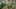 Game screenshot thumbnail 5