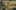 Game screenshot thumbnail 1