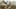 Game screenshot thumbnail 5