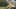 Game screenshot thumbnail 5