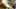 Game screenshot thumbnail 2