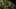 Game screenshot thumbnail 1