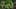Game screenshot thumbnail 3