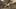 Game screenshot thumbnail 1
