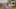 Game screenshot thumbnail 5