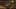 Game screenshot thumbnail 5