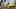 Game screenshot thumbnail 2