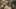 Game screenshot thumbnail 4