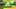 Game screenshot thumbnail 1