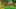 Game screenshot thumbnail 2