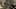 Game screenshot thumbnail 2