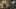 Game screenshot thumbnail 2