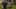 Game screenshot thumbnail 2