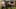Game screenshot thumbnail 3