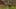 Game screenshot thumbnail 5