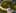 Game screenshot thumbnail 4