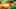 Game screenshot thumbnail 4